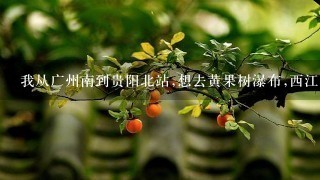 我从广州南到贵阳北站,想去黄果树瀑布,西江千户苗寨,荔波七小孔,自由行怎么才省时省钱？