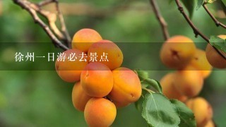 徐州一日游必去景点