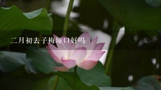 二月初去子梅垭口好吗