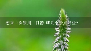 想来一次银川一日游,哪几个景点好些?