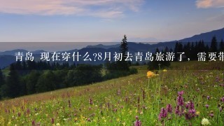 青岛 现在穿什么?8月初去青岛旅游了，需要带长袖吗?