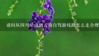 请问从四川乐山到云南自驾游线路怎么走合理？