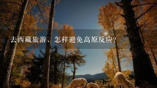 去西藏旅游，怎样避免高原反应？