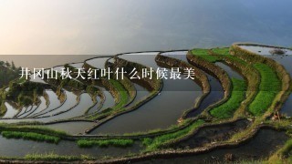 井冈山秋天红叶什么时候最美