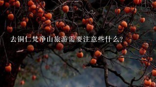 去铜仁梵净山旅游需要注意些什么？