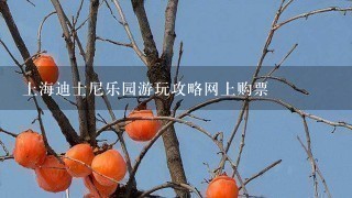 上海迪士尼乐园游玩攻略网上购票