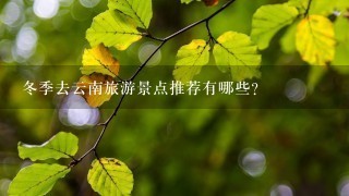 冬季去云南旅游景点推荐有哪些？