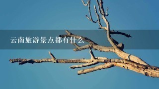 云南旅游景点都有什么