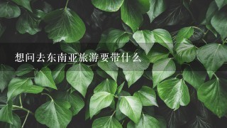 想问去东南亚旅游要带什么