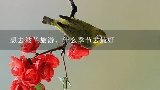 想去波兰旅游，什么季节去最好