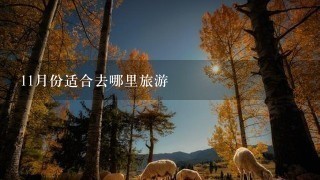 11月份适合去哪里旅游