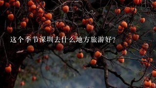 这个季节深圳去什么地方旅游好？