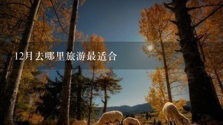 12月去哪里旅游最适合