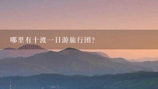 哪里有十渡一日游旅行团？