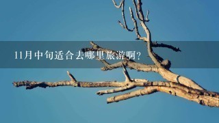 11月中旬适合去哪里旅游啊?