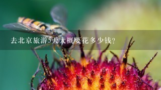 去北京旅游5天大概要花多少钱？