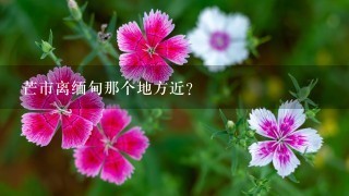 芒市离缅甸那个地方近？