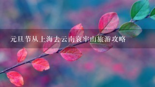 元旦节从上海去云南哀牢山旅游攻略