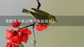 暑假带小孩去哪里旅游最好？