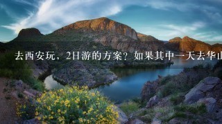 去西安玩，2日游的方案？如果其中一天去华山怎么样？