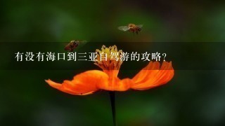 有没有海口到三亚自驾游的攻略？