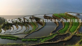 因为想去西双版纳，所以洱海和泸沽湖只能选一个，请