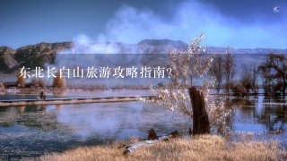 东北长白山旅游攻略指南？