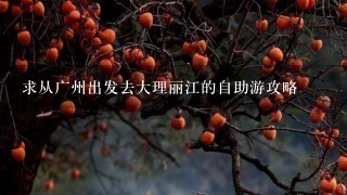 求从广州出发去大理丽江的自助游攻略