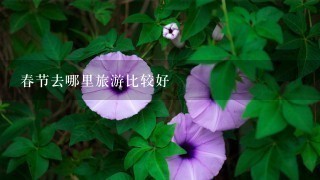 春节去哪里旅游比较好