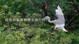 武夷山旅游如何安排行程?