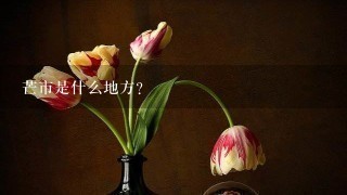 芒市是什么地方？