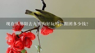 现在从绵阳去九寨沟好玩吗？跟团多少钱？