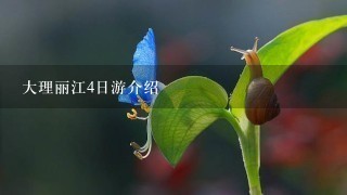 大理丽江4日游介绍