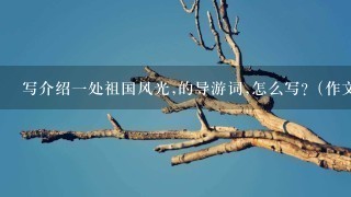 写介绍一处祖国风光,的导游词,怎么写?（作文，400~500字）