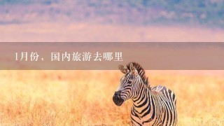 1月份，国内旅游去哪里