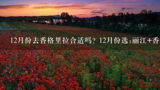 12月份去香格里拉合适吗? 12月份选:丽江+香格里拉好还是丽江+大理昆明好?