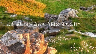 云南昆旅国际旅行社有限公司怎么样？