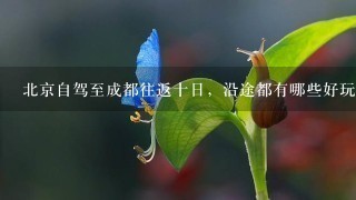 北京自驾至成都往返十日，沿途都有哪些好玩的推荐？