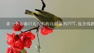 求一个云南15天左右的自助游的PPT,包含线路及特色介