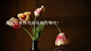 西安经典自驾游线路有哪些?