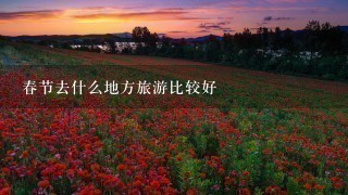 春节去什么地方旅游比较好