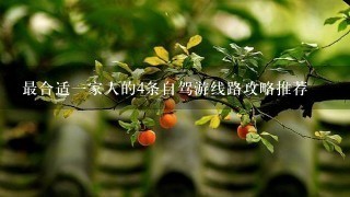 最合适一家人的4条自驾游线路攻略推荐