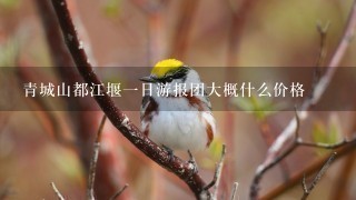 青城山都江堰一日游报团大概什么价格