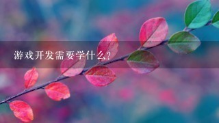 游戏开发需要学什么？