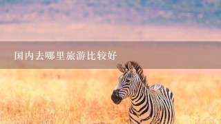 国内去哪里旅游比较好