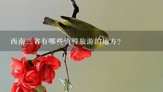 西南三省有哪些值得旅游的地方？