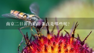 南京二日游的必游景点是哪些呢？