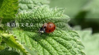 英语作文北京三日游