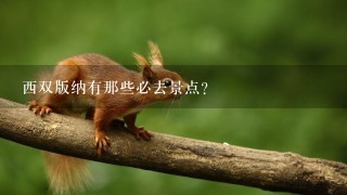 西双版纳有那些必去景点？