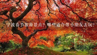 宁波春节旅游景点？哪些适合带小朋友去玩？